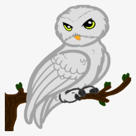 Collection Of Free Hedwig Drawing Realistic Download, HD Png Download, Transparent PNG