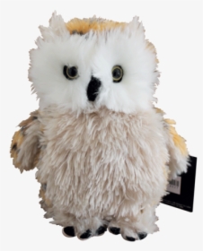 Owl Harry Potter And The Cursed Child Hedwig Stuffed, HD Png Download, Transparent PNG