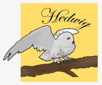 Transparent Hedwig Clipart, HD Png Download, Transparent PNG
