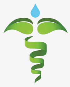 Caduceus Vector Green Medical Symbol, HD Png Download, Transparent PNG