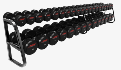 Gym Dumbbells Png, Transparent Png, Transparent PNG