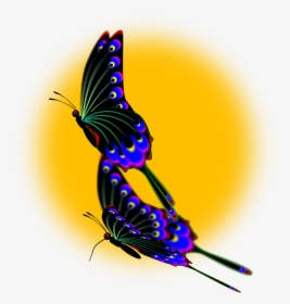 Peacock Clipart Wing, HD Png Download, Transparent PNG