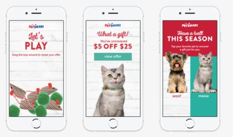 Petsmart Example, HD Png Download, Transparent PNG