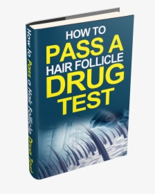 Learn How To Pass A Hair Follicle Drug Test, HD Png Download, Transparent PNG