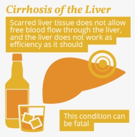 Cirrhosis And Alcohol Use, HD Png Download, Transparent PNG