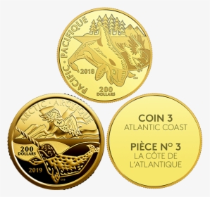 Money Symbols Png, Transparent Png, Transparent PNG