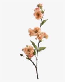 Artsy Png, Transparent Png, Transparent PNG