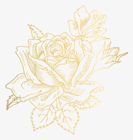 Clipart Rose Rose Gold, HD Png Download, Transparent PNG