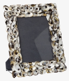 Oyster Photo Frame, HD Png Download, Transparent PNG