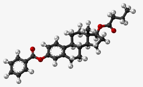 Estradiol Benzoate Butyrate Molecule Ball, HD Png Download, Transparent PNG