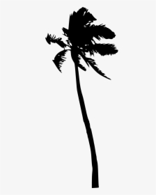 Palm Trees Portable Network Graphics Silhouette Clip, HD Png Download, Transparent PNG
