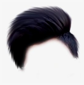 Hairstyles Png Transpa Images 1145 Pngio - Hair Png Sr Editing Zone,  Transparent Png