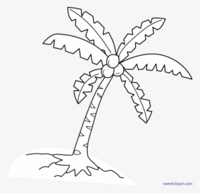 Coconut Palm Lineart, HD Png Download, Transparent PNG