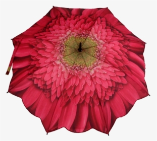 Gerbera Daisy Pink Folding Umbrella , Png Download, Transparent Png, Transparent PNG