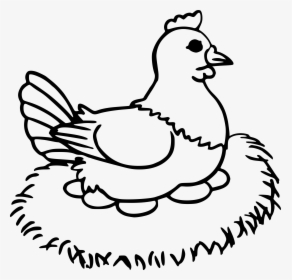 Collection Of Free Chick Drawing Hen Download On Ui, HD Png Download, Transparent PNG