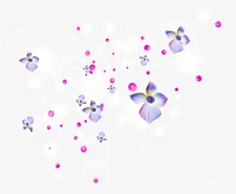 Flower Holi Wallpaper Desktop Download Hd Png Clipart, Transparent Png, Transparent PNG