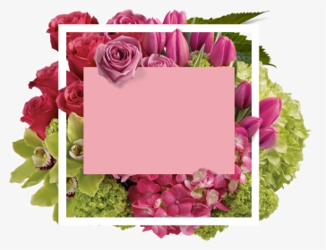 Single Flowers Png, Transparent Png, Transparent PNG