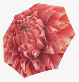 Bright Red Dahlia Flower Foldable Umbrella, HD Png Download, Transparent PNG