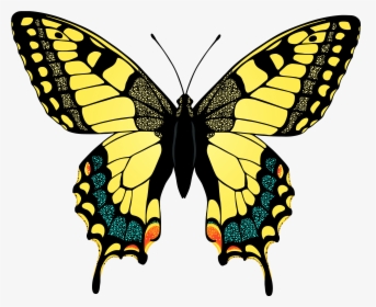 Yellow Butterfly Photo, HD Png Download, Transparent PNG