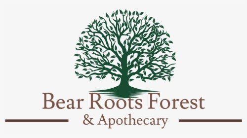 Bear Roots Forest, HD Png Download, Transparent PNG