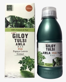 Tulsi Tree Png, Transparent Png, Transparent PNG