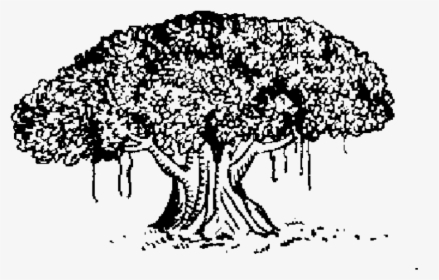 File Tree Png Wikimedia, Transparent Png, Transparent PNG