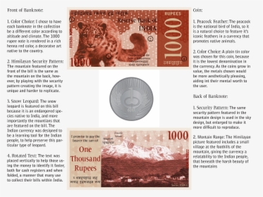 Indian Money Tree Png, Transparent Png, Transparent PNG