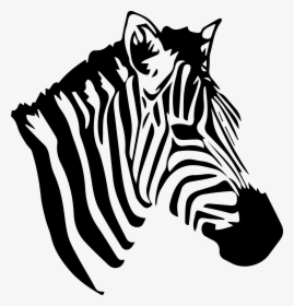 Zebra Png Images, Transparent Png, Transparent PNG