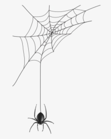 Transparent Spider, HD Png Download, Transparent PNG