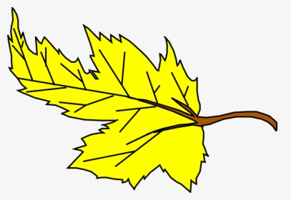 Leaf, Maple, Yellow, Fall, Autumn, Nature, Season, HD Png Download, Transparent PNG