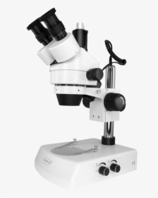 Microscope Png Images, Transparent Png, Transparent PNG