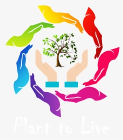 Gulmohar Tree Png, Transparent Png, Transparent PNG