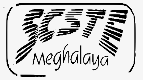 Gulmohar Tree Png, Transparent Png, Transparent PNG