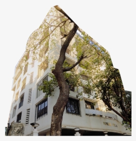 Gulmohar Tree Png, Transparent Png, Transparent PNG