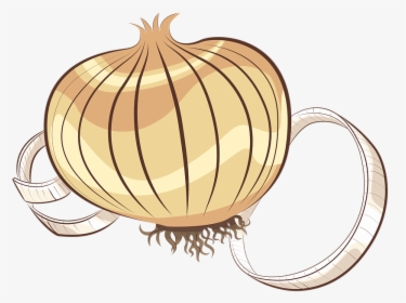Onion Clipart Onion Vegetable, HD Png Download, Transparent PNG