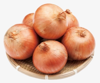 Onion Png Download Image, Transparent Png, Transparent PNG