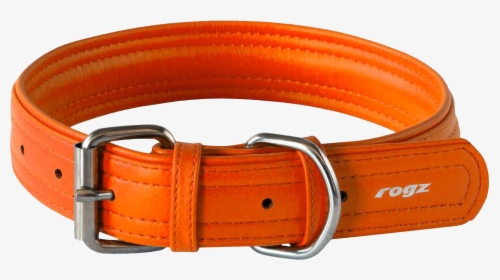 Rogi Dog Collar Orange Belt Pictures, HD Png Download, Transparent PNG