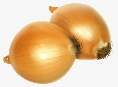 Onion Png Clipart, Transparent Png, Transparent PNG