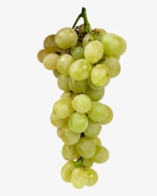 Transparent Green Grapes Clipart, HD Png Download, Transparent PNG