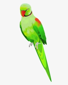 #ftestickers #bird #parrot #green, HD Png Download, Transparent PNG