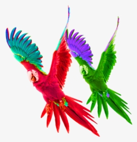 #mq #red #green #parrot #bird #birds, HD Png Download, Transparent PNG