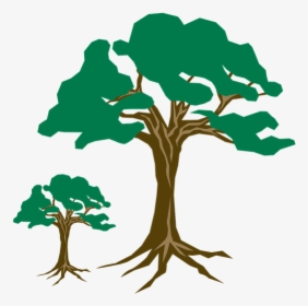 Clipart, Tree, Green, Nature, Wood, Branch, Season, HD Png Download, Transparent PNG
