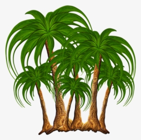 Transparent Coconut Trees Clipart, HD Png Download, Transparent PNG