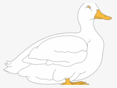 Transparent Duck Clipart Black And White, HD Png Download, Transparent PNG