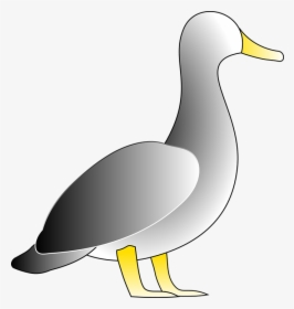 Duck, Bird, White, Water, Fowl, HD Png Download, Transparent PNG