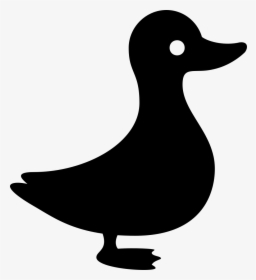 Duck, HD Png Download, Transparent PNG