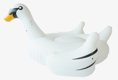 Sunfloats Inflatable White Swan Pool Floats, HD Png Download, Transparent PNG