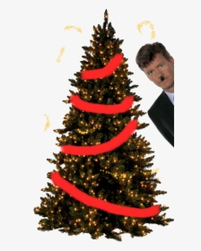 Tree For Photoshop Png, Transparent Png, Transparent PNG