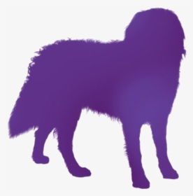 Bernese Mountain Dog Png Transparent Images, Png Download, Transparent PNG