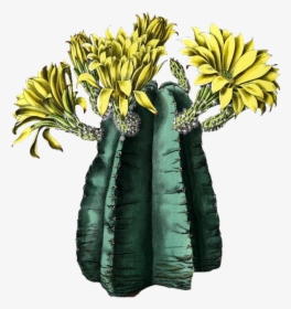 Yellow Green Background Png, Transparent Png, Transparent PNG